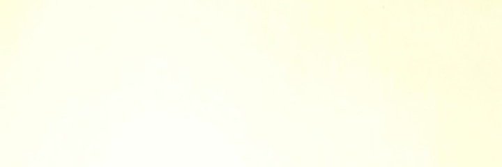 vmkenyangi's profile banner image