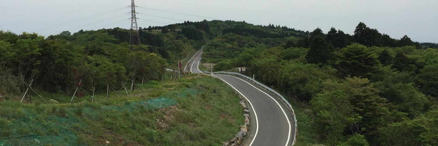 lspeedno11's profile banner image