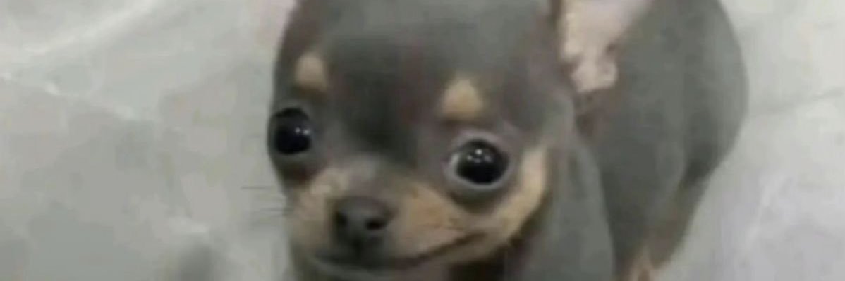 CeeeliiaaGR's profile banner image