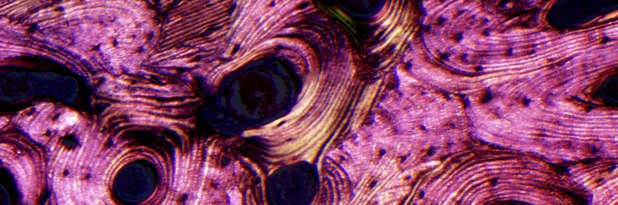 gasannaa's profile banner image
