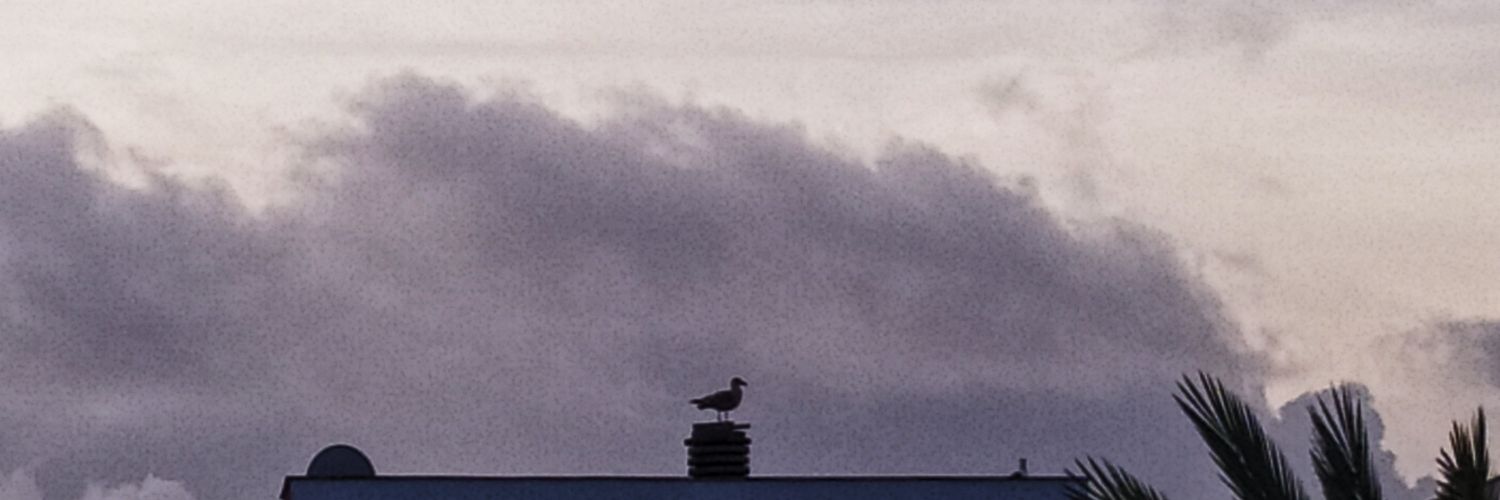 AlbertoGaztelu's profile banner image