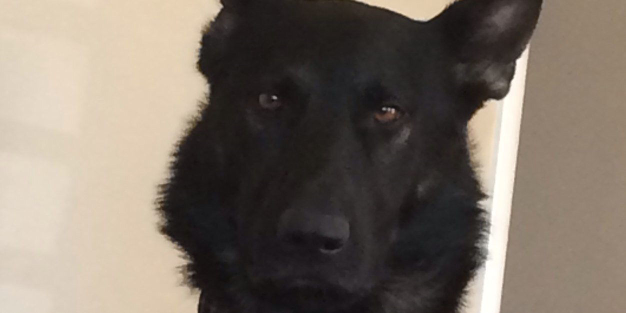 qfiveo's profile banner image