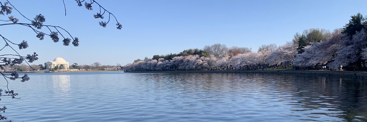 Kate Cooksey Noyes banner