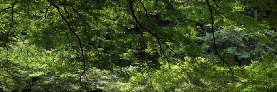 kousei0702's profile banner image