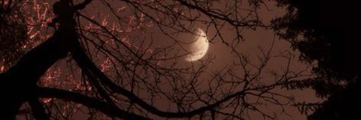 mj ˚.⋆☾⋆⁺ banner