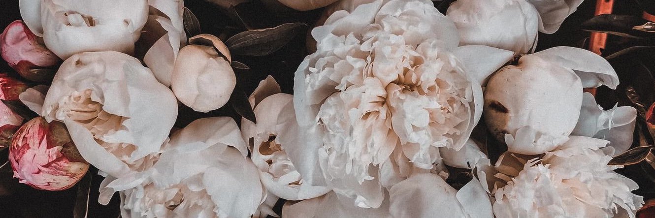 carylbella's profile banner image