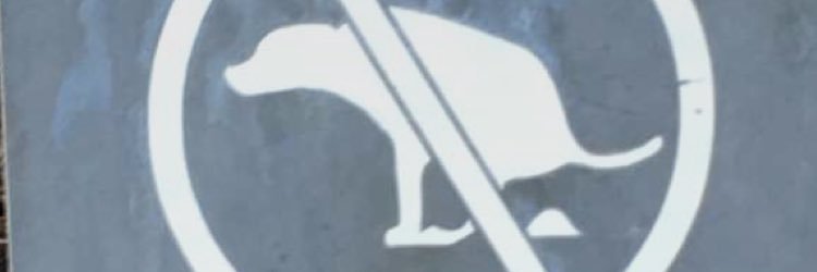omes1's profile banner image