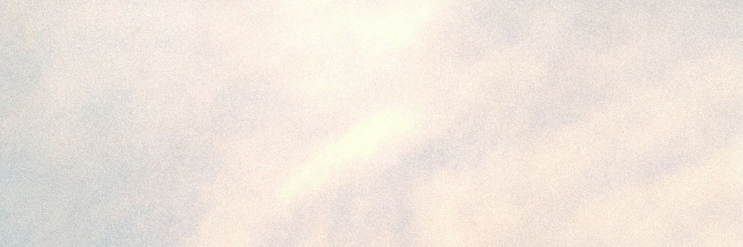보라 👑 banner