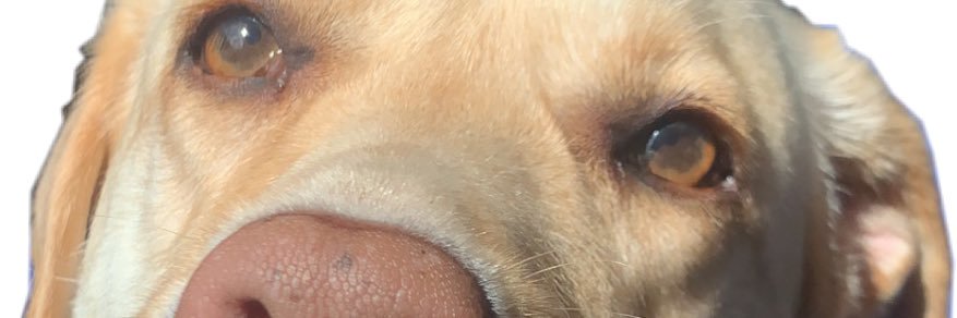 CaptnRumpsteak's profile banner image