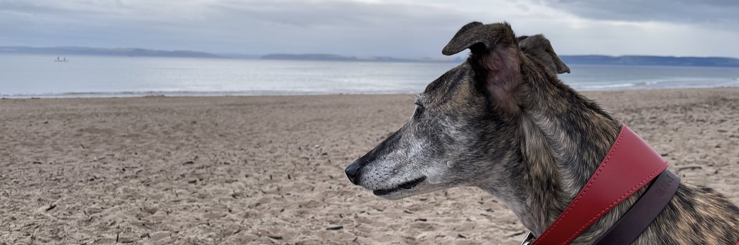 Adam McIvor 🏳️‍🌈 banner