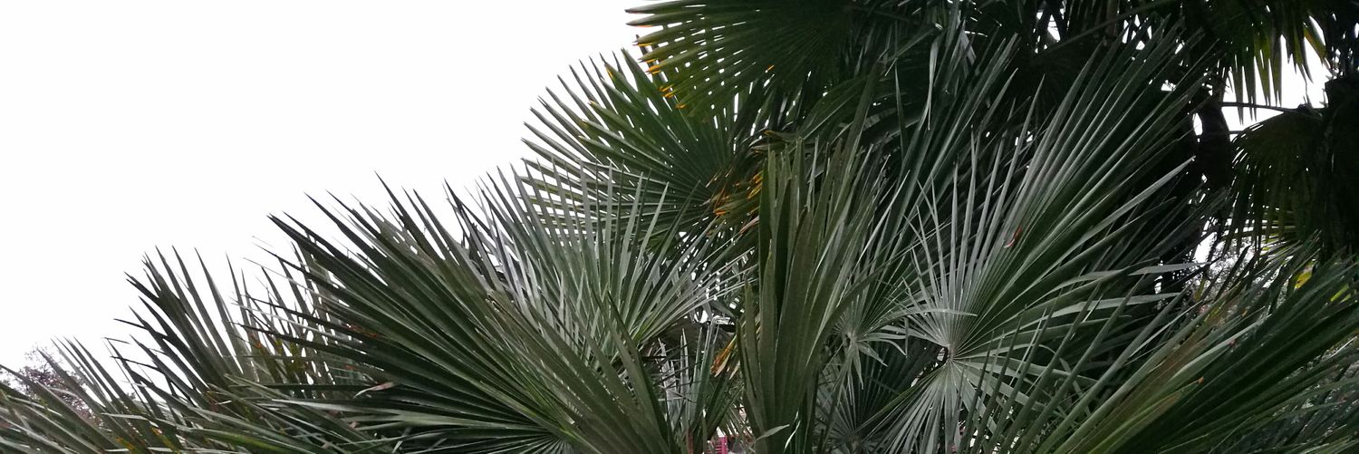 zan_igrec's profile banner image