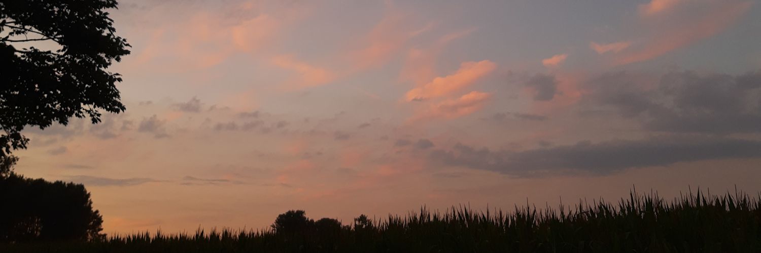 LenaertsMinte's profile banner image