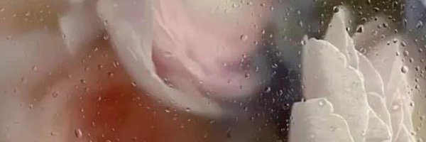 pbx2_ Profile Banner