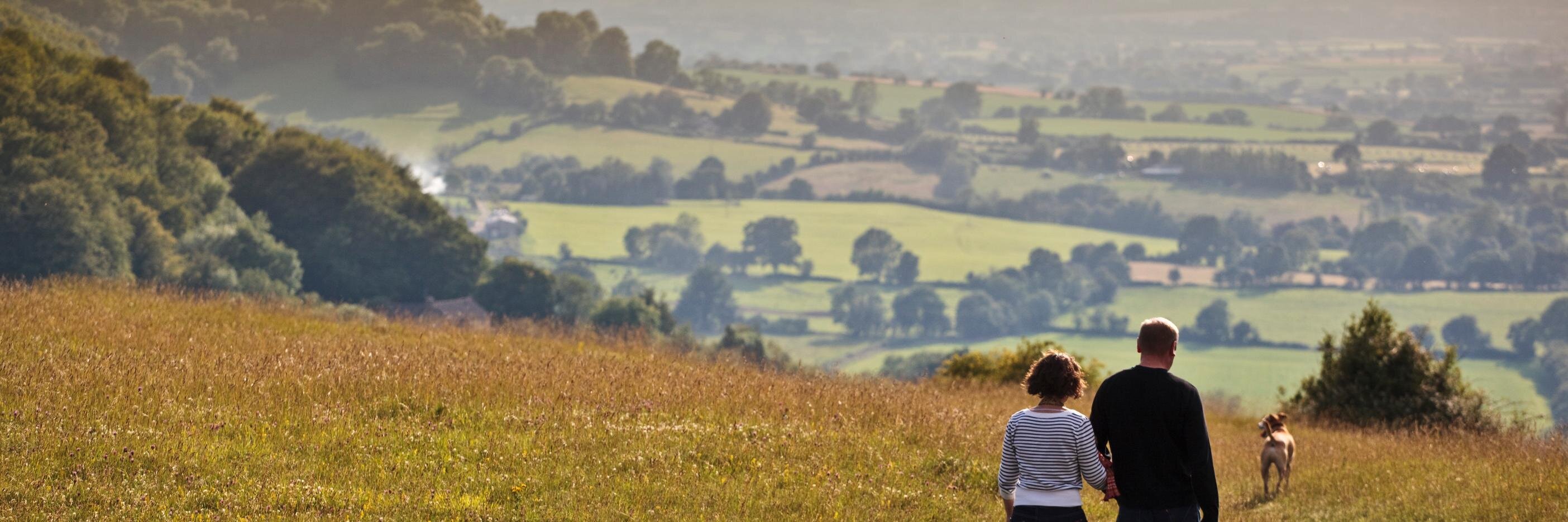 Discover Stroud banner