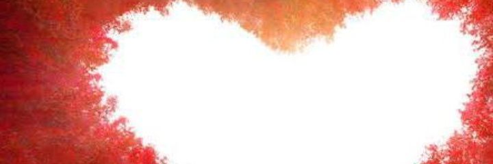 dammolee's profile banner image