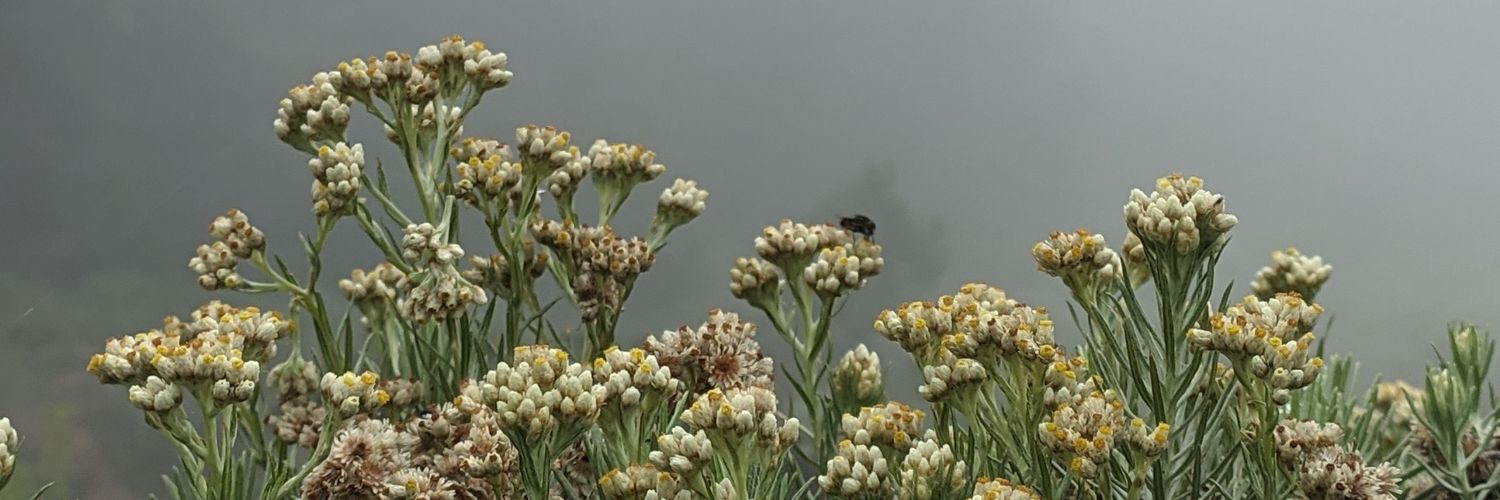 rhmrhmnr's profile banner image