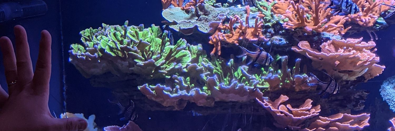 tuulijee's profile banner image
