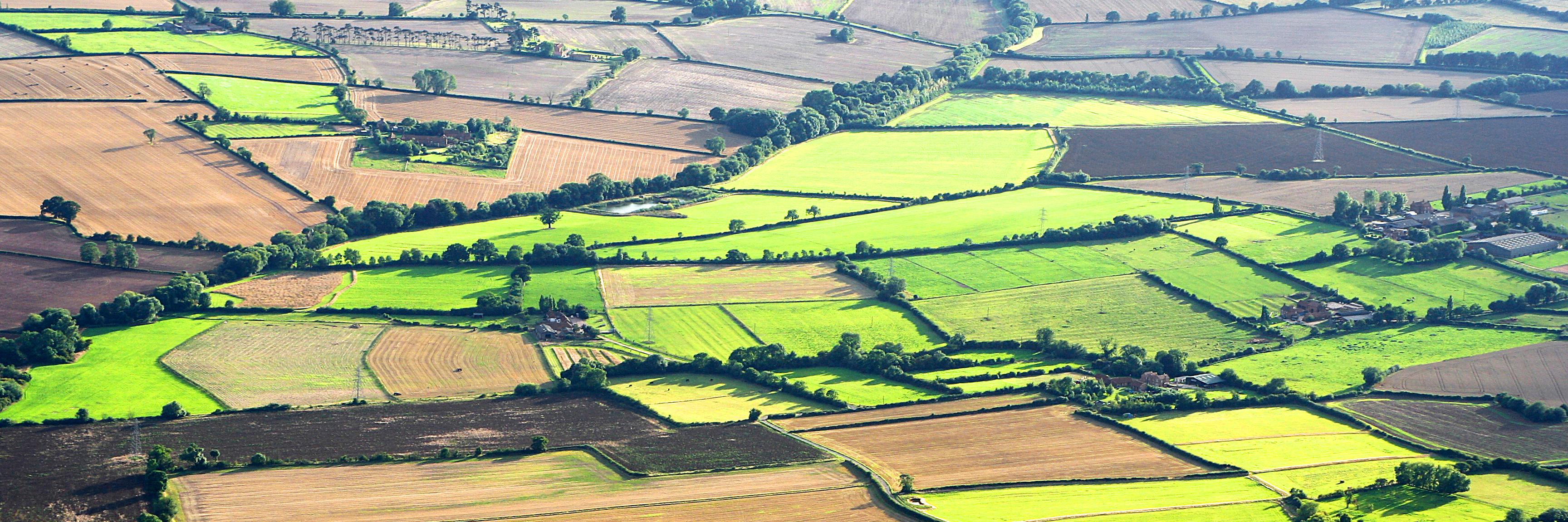 BF&G magazine banner