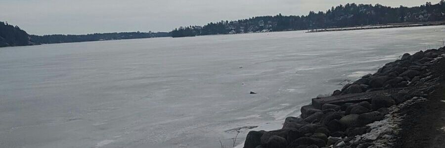 efltnezgi's profile banner image