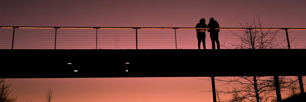 TheOptionRider's profile banner image