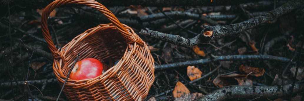 Шонечка🎃 banner