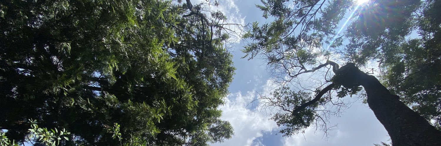 Así habló Nubecita ☁️ banner