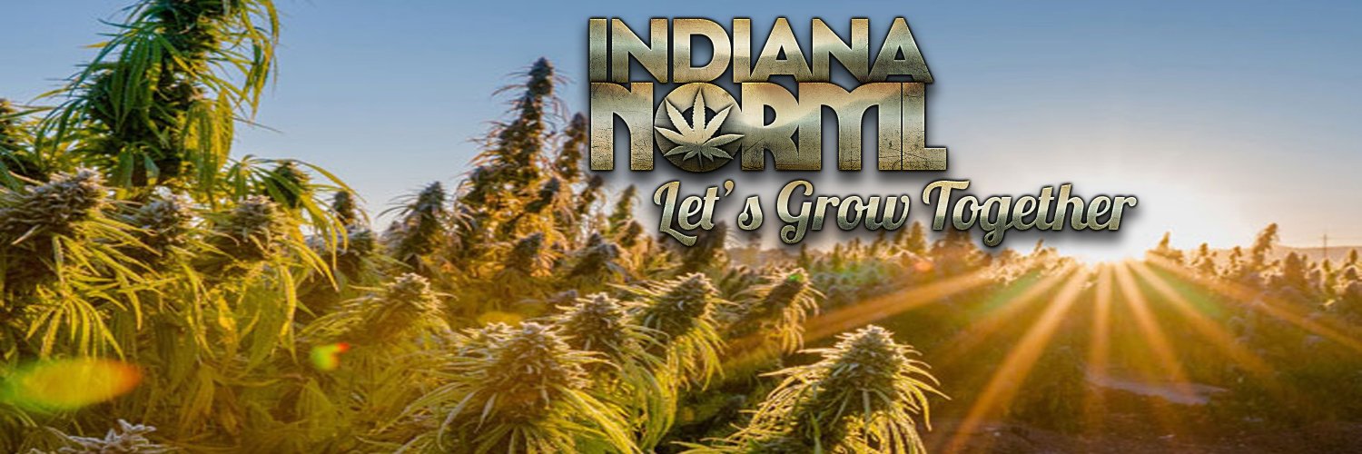 INORML's profile banner image