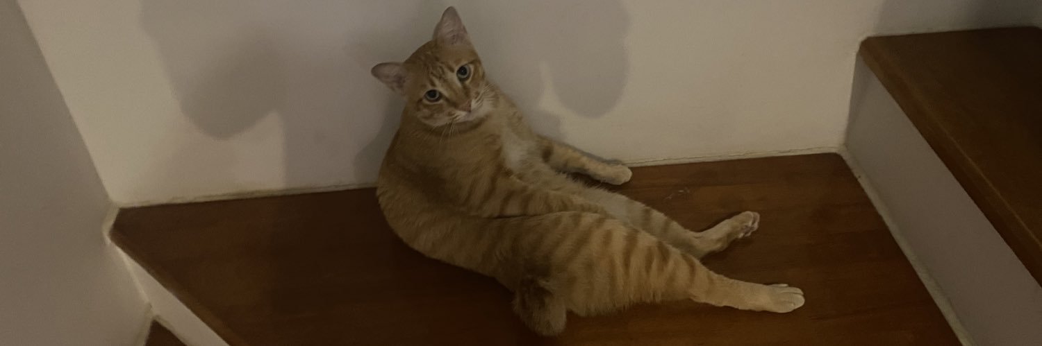 ddnugh's profile banner image