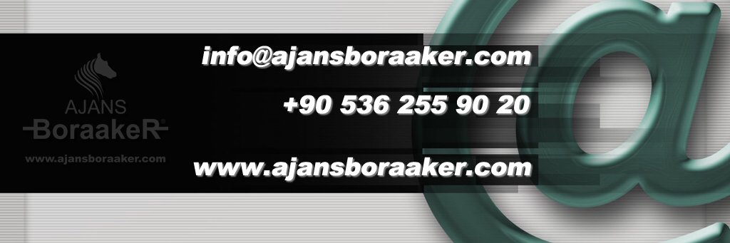 BoraakeR's profile banner image