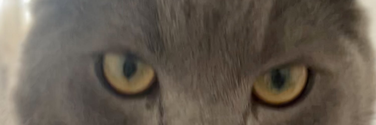 Nina_Knowless's profile banner image