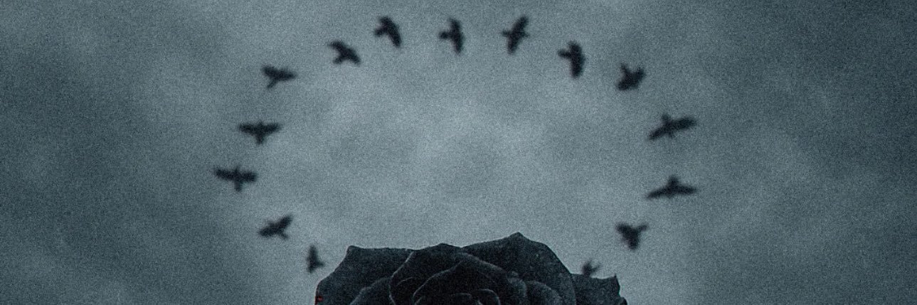 daymahlik's profile banner image