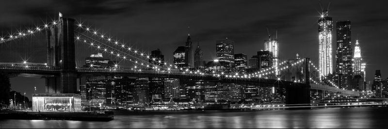 lescotet's profile banner image