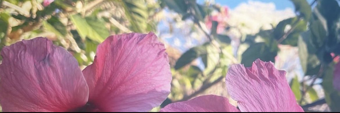 juliaddsc's profile banner image