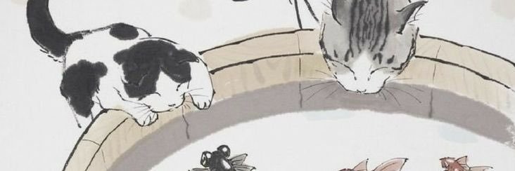foskkito's profile banner image