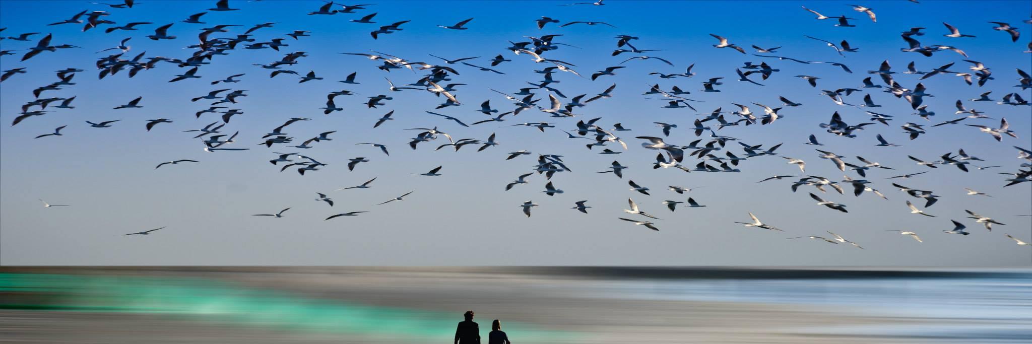 SolidaritéUsagersPsy banner