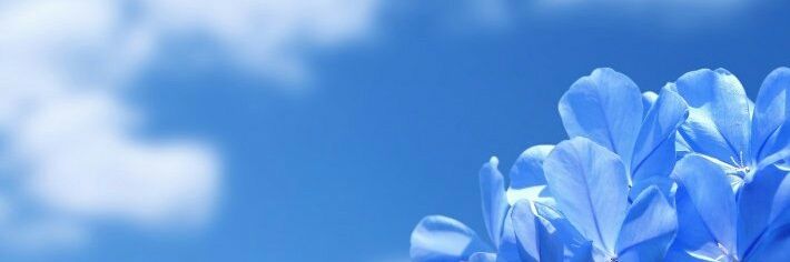 沙月 banner