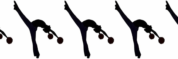 MidAtlanticPoms's profile banner image