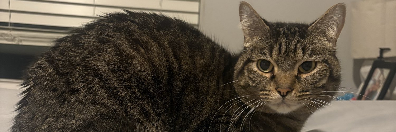 madison_laugh's profile banner image