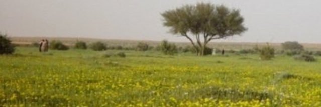faisalAlotaibi0's profile banner image