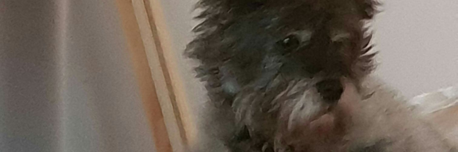 Paul205P's profile banner image