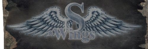 S_Wings_Records banner