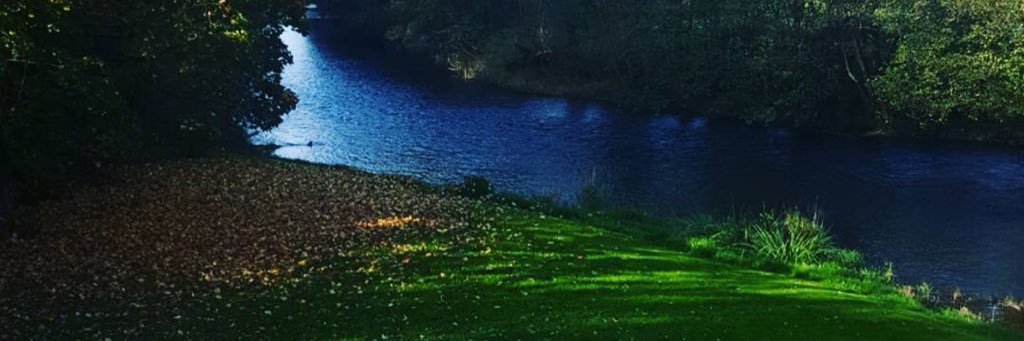 silpeoro's profile banner image