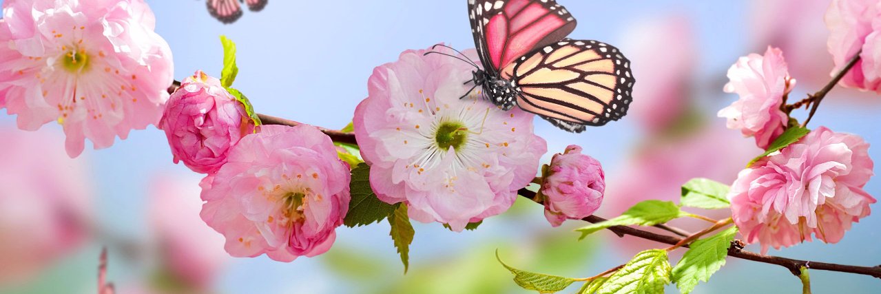nki_e's profile banner image