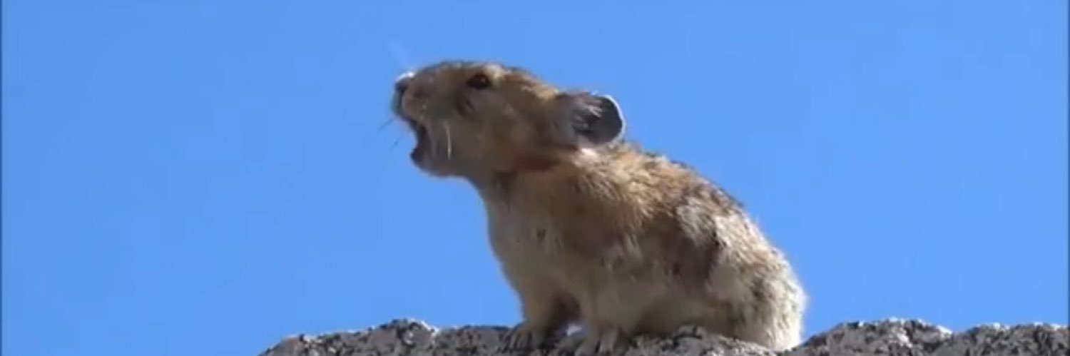 Scott Lambrecht banner