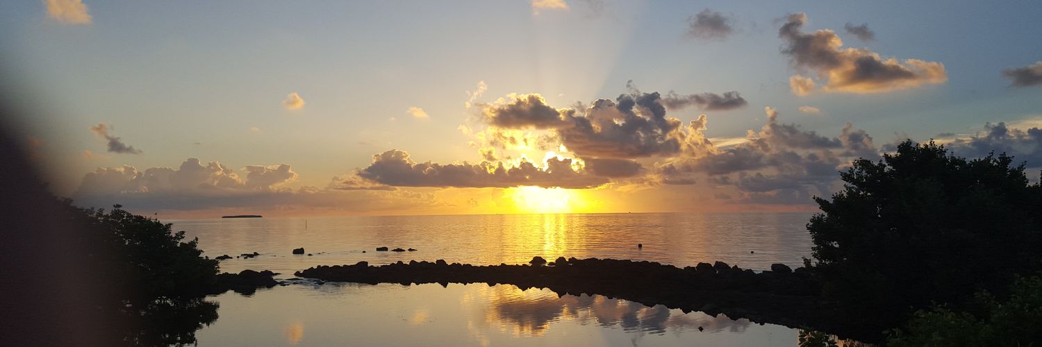 1FranciscoA's profile banner image