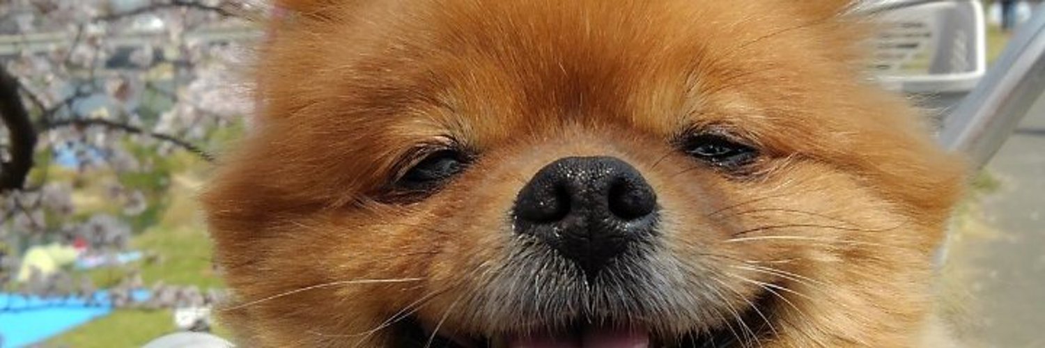 Shyluv19's profile banner image