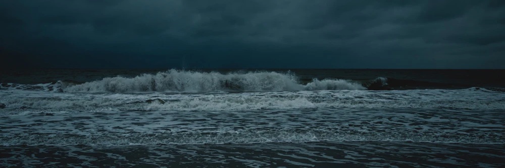 Vinicius Sanches banner