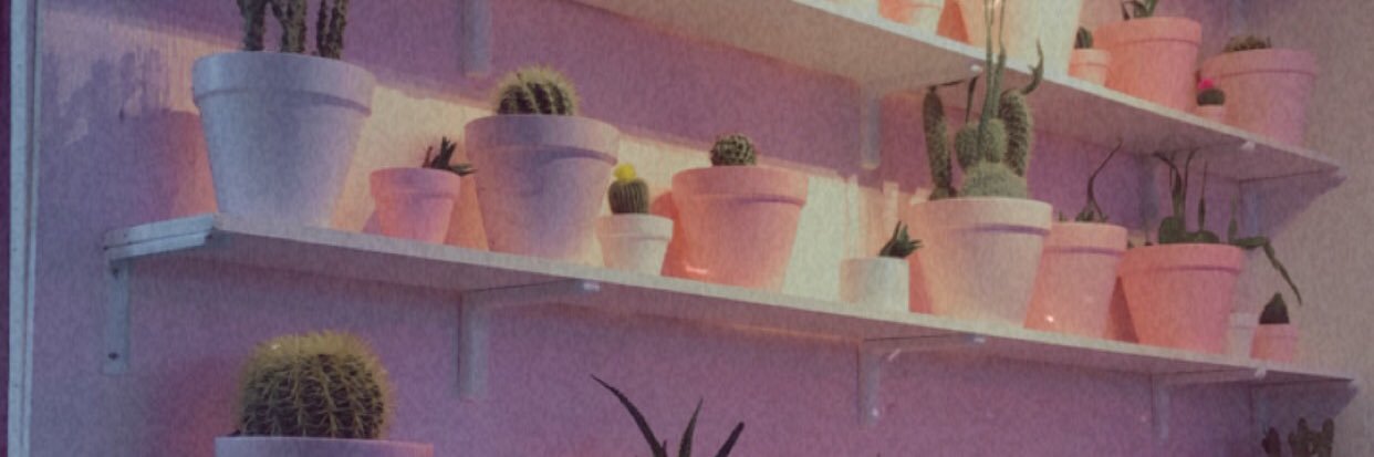 whatley_brook's profile banner image