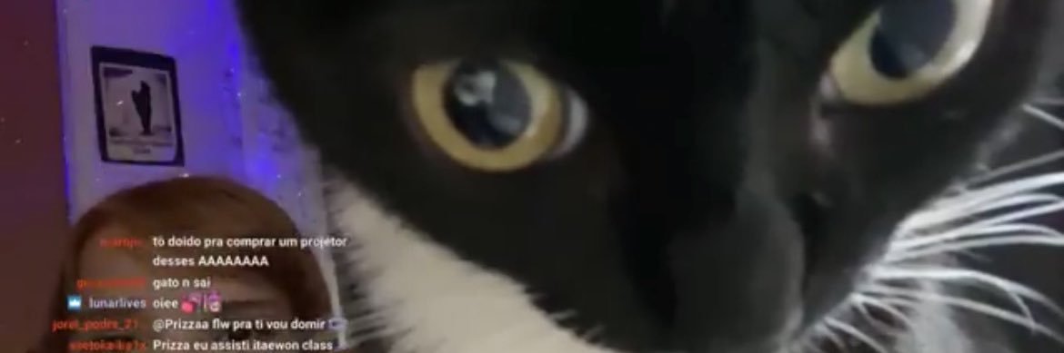 aybenizzkayaa's profile banner image