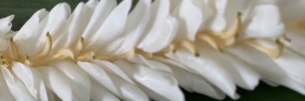 8_brynn Profile Banner